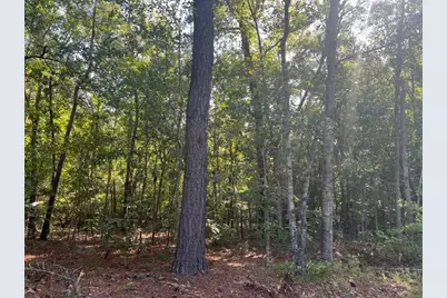 1444 Mulberry Road, Barnwell, SC 29812 - Photo 4