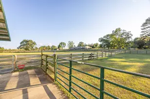 269 Holmes Pond Rd, Johnston, SC 29832 - Photo 38