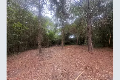 402 Long Street, New Ellenton, SC 29809 - Photo 4