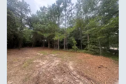 402 Long Street, New Ellenton, SC 29809 - Photo 2