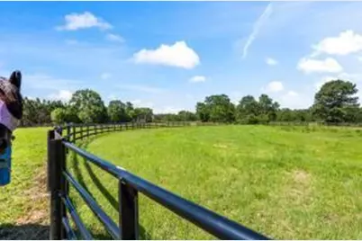 601 Bethcar Church Road, Wagener, SC 29164 - Photo 32