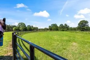 601 Bethcar Church Rd, Wagener, SC 29164 - Photo 32
