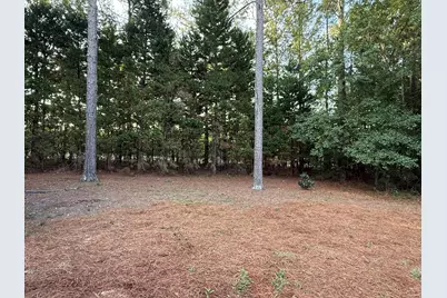 233 Winged Elm Circle, Aiken, SC 29803 - Photo 40