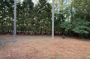 233 Winged Elm Cir, Aiken, SC 29803 - Photo 40