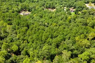 4769 Banks Mill Rd SE, Aiken, SC 29803 - Photo 76