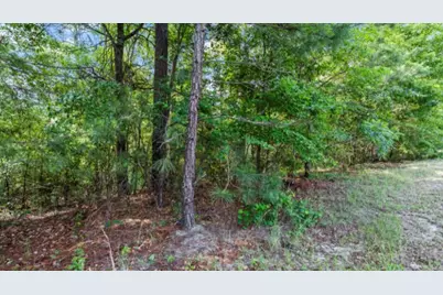 Lot S-17 Scarborough Pass, Aiken, SC 29801 - Photo 6