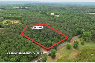 0 Lot 6 Holiness Church Road, Wagener, SC 29164 - Photo 1