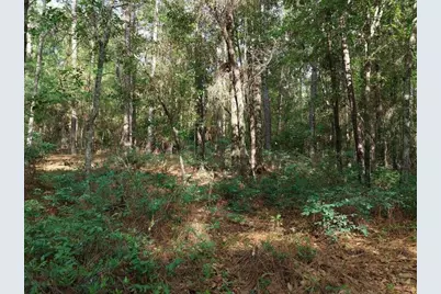 0 Lot 6 Holiness Church Road, Wagener, SC 29164 - Photo 24