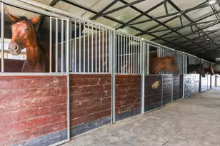 613 Dressage Ct, Aiken, SC 29805 - Photo 60