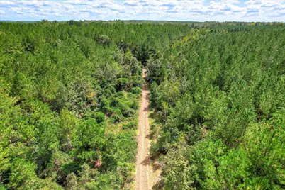 64.68 Acre Mt Beulah Road, Windsor, SC 29856 - Photo 20