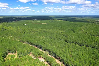 64.68 Acre Mt Beulah Road, Windsor, SC 29856 - Photo 18