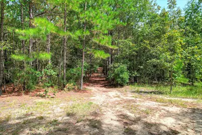 64.68 Acre Mt Beulah Road, Windsor, SC 29856 - Photo 4