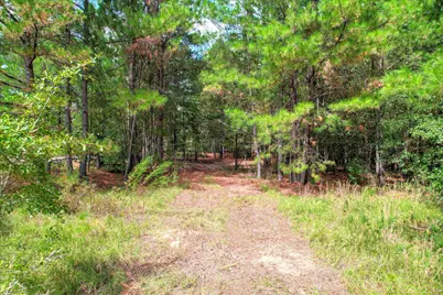 64.68 Acre Mt Beulah Road, Windsor, SC 29856 - Photo 8