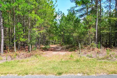64.68 Acre Mt Beulah Road, Windsor, SC 29856 - Photo 10
