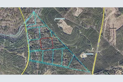 64.68 Acre Mt Beulah Road, Windsor, SC 29856 - Photo 2