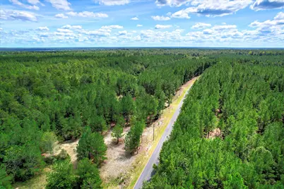 64.68 Acre Mt Beulah Road, Windsor, SC 29856 - Photo 6