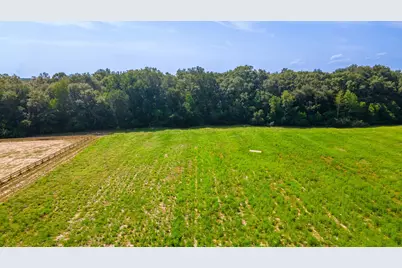 2122 New Holland Road, Wagener, SC 29164 - Photo 6
