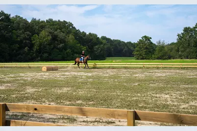 2122 New Holland Road, Wagener, SC 29164 - Photo 32