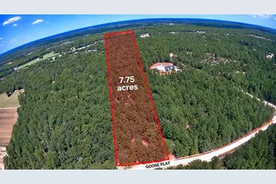 000 Goose Platter Road, Monetta, SC 29105 - Photo 1