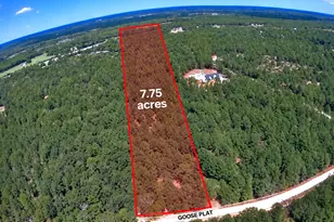 000 Goose Platter Rd, Monetta, SC 29105 - Photo 1
