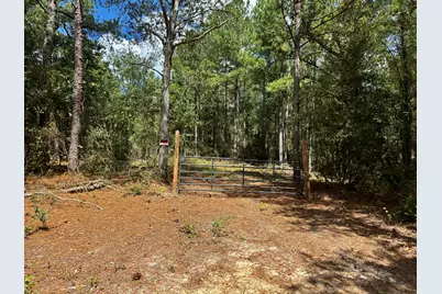 000 Goose Platter Road, Monetta, SC 29105 - Photo 6