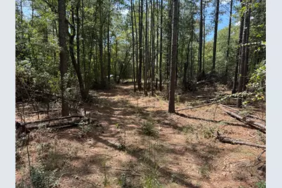 000 Goose Platter Road, Monetta, SC 29105 - Photo 4