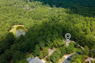 166 Walton Heath Way, Aiken, SC 29803 - Photo 56