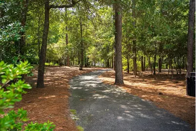 166 Walton Heath Way, Aiken, SC 29803 - Photo 60