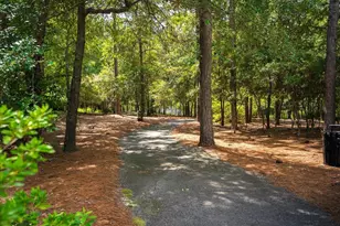 166 Walton Heath Way, Aiken, SC 29803 - Photo 60
