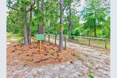 1377 Pine Road, Camden, SC 29020 - Photo 8