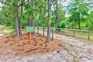 1377 Pine Rd, Camden, SC 29020 - Photo 8