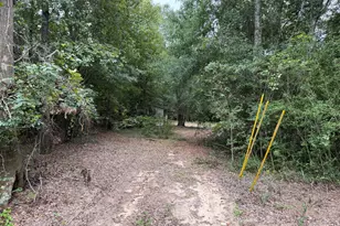 718 Williston Rd, Beech Island, SC 29842 - Photo 2
