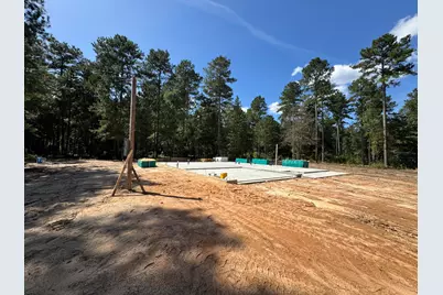336 Wendell Lane, Wagener, SC 29164 - Photo 4
