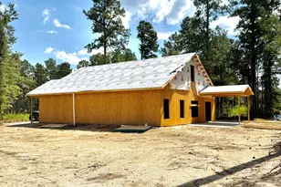 336 Wendell Ln, Wagener, SC 29164 - Photo 12