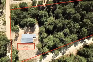 336 Wendell Ln, Wagener, SC 29164 - Photo 22