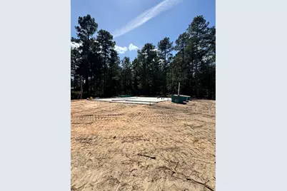 336 Wendell Lane, Wagener, SC 29164 - Photo 8