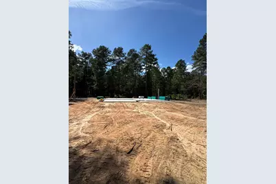 336 Wendell Lane, Wagener, SC 29164 - Photo 6