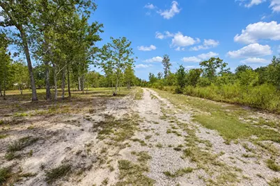 415 Finback Road, Wagener, SC 29164 - Photo 62