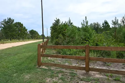 415 Finback Road, Wagener, SC 29164 - Photo 58