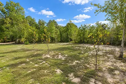 415 Finback Road, Wagener, SC 29164 - Photo 66