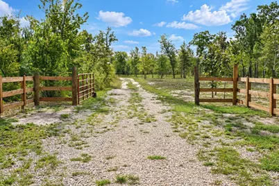 415 Finback Road, Wagener, SC 29164 - Photo 60