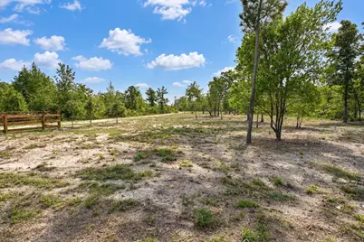 415 Finback Road, Wagener, SC 29164 - Photo 70