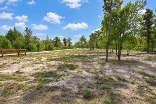 415 Finback Rd, Wagener, SC 29164 - Photo 70