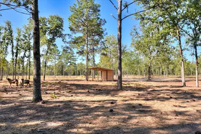 679 Live Oak Drive, Windsor, SC 29856 - Photo 2