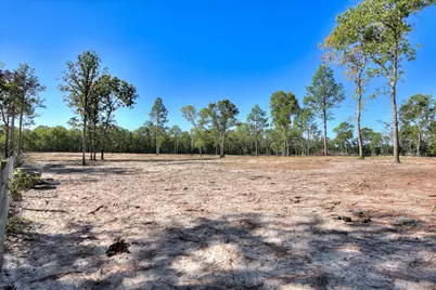 679 Live Oak Drive, Windsor, SC 29856 - Photo 14