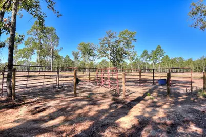 679 Live Oak Drive, Windsor, SC 29856 - Photo 12