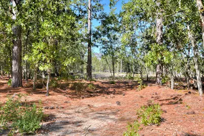 679 Live Oak Drive, Windsor, SC 29856 - Photo 26