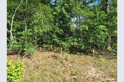 0 Lot 7 Holiness Church Road, Wagener, SC 29164 - Photo 18