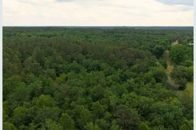 0 Lot 7 Holiness Church Road, Wagener, SC 29164 - Photo 6