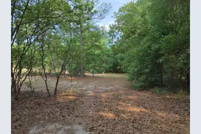 0 Lot 7 Holiness Church Road, Wagener, SC 29164 - Photo 22